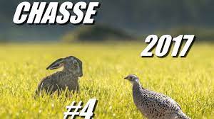 We did not find results for: Video La Chasse Aux Petits Gibiers En France Chasse Passion