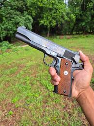 Image result for Brite Red 1976 Colt