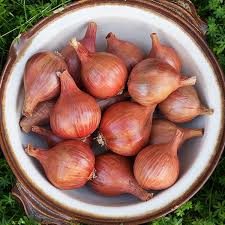 Image result for shallots
