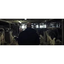 Adam McDaid (@adammcdaid) • Instagram photos and videos