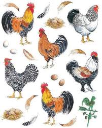 Pretty Boy Roosters 2 Sheet Ideastix Accents Peel And Stick Decor Ideastix Http Www Amazon Com Dp B008zg289m Ref Cm Sw R Rooster Art Rooster Painting Rooster