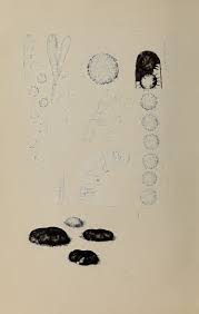 Image result for Metasphaeria diplodiella