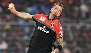 South africa, africa xi, cape cobras, deccan chargers, essex, northerns, royal challengers bangalore, titans. Ipl 2019 Dale Steyn Ruled Out After Brief Rcb Stint The Week