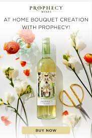 They do not accept paypal, google pay there are two types of gifts: Save 5 On Your First Order Using Code Prophecydelivered In 2020 Drizly Wine Collection Wines