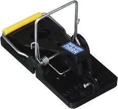 #lakecookpestcontrol #snow #springinchicago #spring #pestcontrol. Snap E Mouse Trap 6 Pack Amazon Co Uk Garden Outdoors