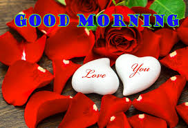 Sun rise good morning wallpaper in hindi. Good Morning Red Rose Images Free Download