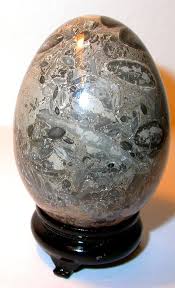 Grey Fossil Stone Egg Crystal Egg Stones And Crystals Crystals And Gemstones