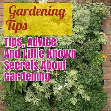 How to start your own organic garden by jeff more and more people are becoming interested in organic gardening as a safe alternative to store bought produce, which can contain all kinds of dangerous chemicals and may even present unforeseen threats with untested methods of genetic engineering. Pin On Gardening Ideas