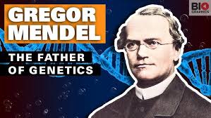 GCSE Biology Revision "Mendel and Genetics" (Triple)