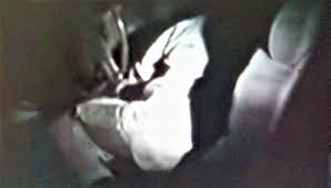 Has not filled out their profile. The Unsolved Murder Of Angela Mischelle Lawless Benton Missouri Michael Nolan