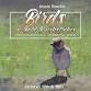 Birds in Bold Brushstrokes: A Creative Approach to event image