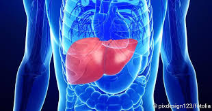 Maybe you would like to learn more about one of these? Leberzirrhose Beschreibung Symptome Therapiemoglichkeiten Netdoktor