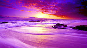 Check spelling or type a new query. Purple Beach Sunset 4k Hd Wallpapers Hd Wallpapers Id 31905