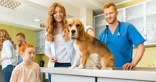 At pets first animal clinic our staff is the best around! Your Pet S First Vet Visit Post Adoption Zoetis Petcare