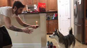 I Surprised My Dog For Her Birthday - YouTube