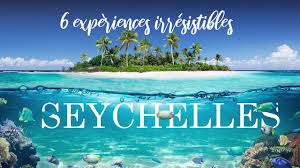 Les 115 îles de l'archipel des seychelles font rêver le monde entier pour leurs belles plages de sable fin, leur biodiversité unique et la culture des peuples seychellois. Partir En Voyage Aux Seychelles Nos 5 Precieux Conseils Meilleures Offres