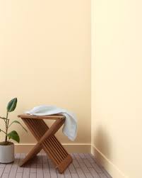 Image result for Pastel French Vanilla 1982 Tempo