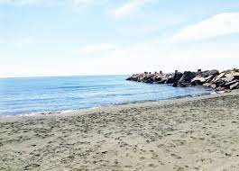 All the items were perfectly cooked and seasoned. Loures Beach Blue Flag In Cyprus Com