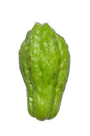 Check spelling or type a new query. Chayote Wikipedia