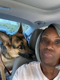Dog giving it her all planting potatoes at the farm