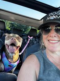 MAL Princess Xerneas RGA Mach's Desert Prince x JDL Magnolia's Pretty Baby  Very happy with this huge month old female! We already can't wait to get  her out to her first show