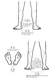 ビワの葉温灸の基本ツボ 脚のツボ