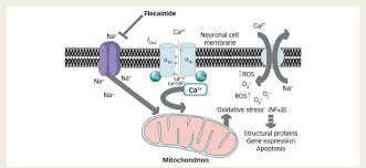 Image result for Flecainide