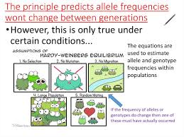 Amoeba sisters alleles and genes worksheet : Evolution Hardy Weinberg Theory Factors That Influence The Frequency Of Genes Online Presentation