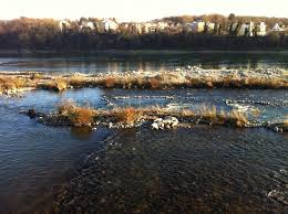We did not find results for: Rheinfelden Natur Und Vogelschutzverein Birsfelden