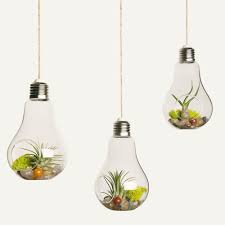 Match them up with one of our many cool container & terrarium options and you. Glass Hanging Planters Terrariums Bulb Flower Pot Microlandschaft Air Plant Pot Glass Plant Containers Hanging Planters Air Plant Holder Pack Of 3 Buy Online In Belarus At Desertcart