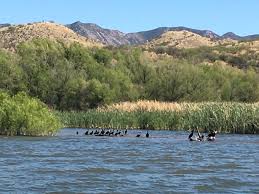 Maybe you would like to learn more about one of these? Patagonia Lake State Park Tamarascameras