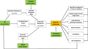 If you notice these symptoms in your cat, chances are it's not cancer, but it is something your cat needs treatment for. The Use Of Modelling Studies To Inform Planning Of Health Services Case Study Of Rapidly Increasing Endoscopy Services In Australia Springerlink