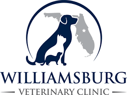 Ez pet clinic's headquarters is located in eustis, florida, usa 32726. Orlando Fl 32821 Veterinarian Williamsburg Veterinary Clinic