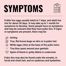 Image result for pubic lice symptoms