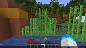 I need help with my cactus farm, it is currently built but the cactus doesn't flow into the hoppers as it keeps getting lagged back and the cleared by clear. Ultra Farm Crop Regions Guardians Log Regions Best Farm System Mc Market