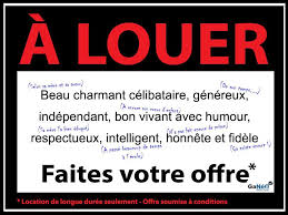 Mais les petites phrases romantiques, ce n'est pas pour vous. A Louer Celibataire Humour Celibataire Citation Humour Celibataire