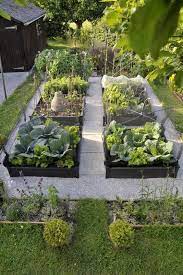 Moestuinproject 1 Garden Layout Garden Planning Backyard Garden