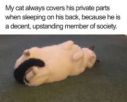 35 Of The Happiest Animal Memes To Start The Week With A Smile Bored Panda