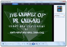 Lav video decoder 0.74.1 build 92 x86 & x64. 3 Solutions To Fix Mp4 Not Playing In Windows Media Player