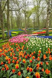 Keukenhof Gardens Near Amsterdam Netherlands Jardin De Primavera Jardines Bonitos Jardines