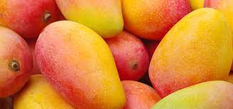 Die mango entfaltet schon vor der sogenannten vollreife ihren wunderbaren geschmack. Wann Ist Eine Mango Reif Zum Essen So Wird S Getestet