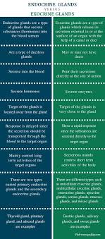 Pin By Amirthasivani On Medical Exocrine Gland Endocrine Plasma Membrane