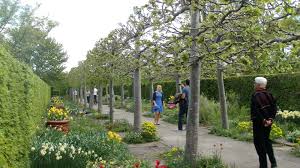 Debby Lewis Garden Design Design And Build