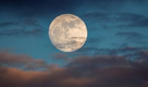 Because the energy can flow freely now, it brings a feeling of. December 2020 Horoscope What S In Store For December Express Co Uk