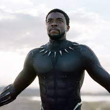 T'challa is the black panther—a righteous king, noble avenger, and fearsome warrior. The Passionate Politics Of Black Panther The New Yorker