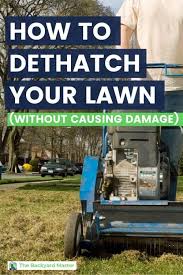 When you are done dethatching, you can mow off the ends that stick up, if they bother you. How To Dethatch A Lawn Why You Need To And When You Should The Backyard Master