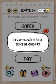Brain Test Seviye 34 Cevaplari Bir Inegin Yavrusuna Ne Denir