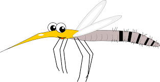 Cartoon Mosquito Clipart Free Download Transparent Png Creazilla Choose from over a million free vectors, clipart graphics, vector art images, design templates, and illustrations created by artists worldwide! cartoon mosquito clipart free download