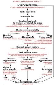 usmle the journey clear answers and clear advice for step 1