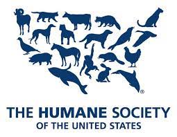 Humane Society Of America Humane Society Logo Humane Society Animal Protection Organization
